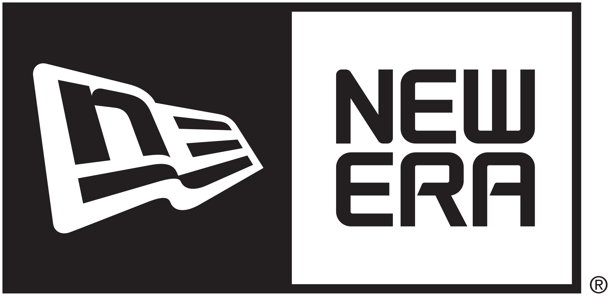 NewEra 公司的 Logo